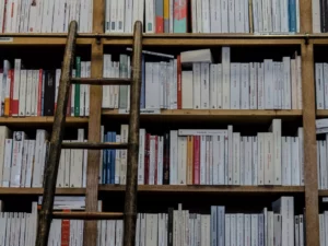 Adult bookstore shelf full of books