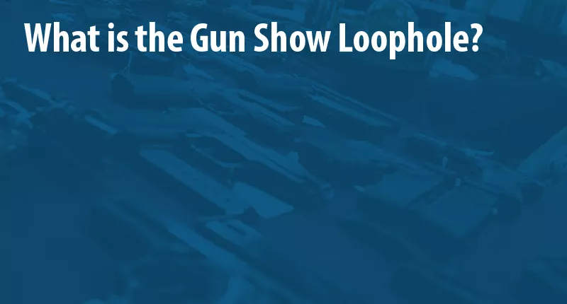 gun show loophole