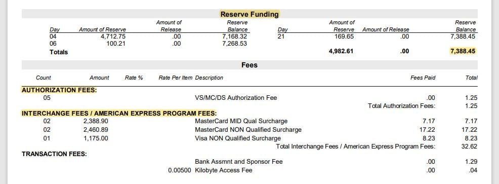 Merchant Statement Processing Fees example