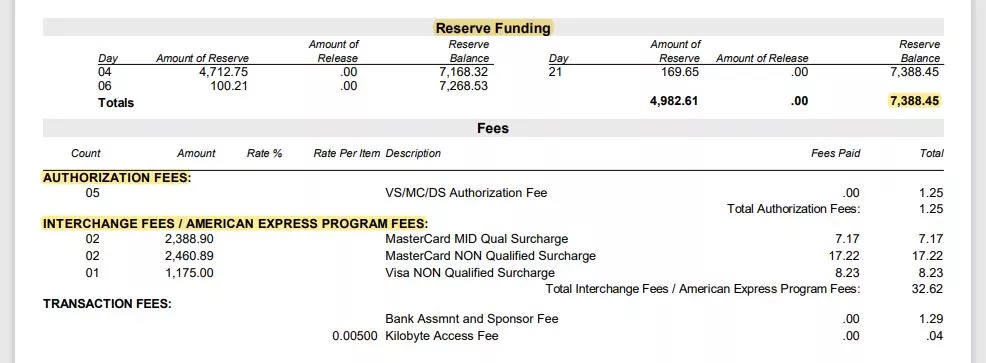 Merchant Statement Processing Fees example