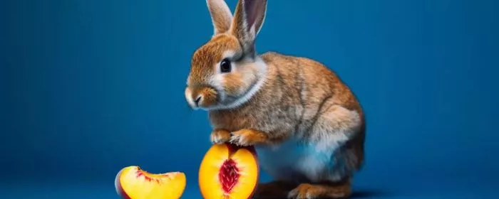 bunny holding up a peach behind a blue background