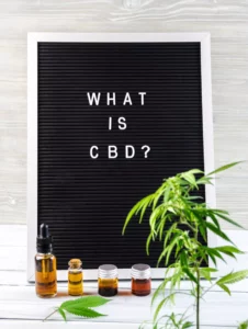 cbd plant and oil for online business product ideas