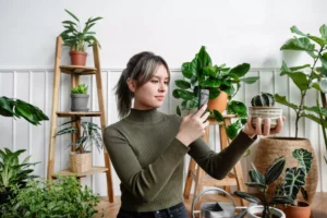 A woman in her plant shop taking a photo of her plant for social media advertising