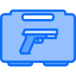 Case with a gun sold through an FFL transfer.