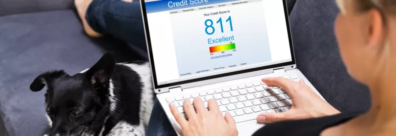 picture of business owner preforming a transunion credit check on her laptop computer with a cute dog