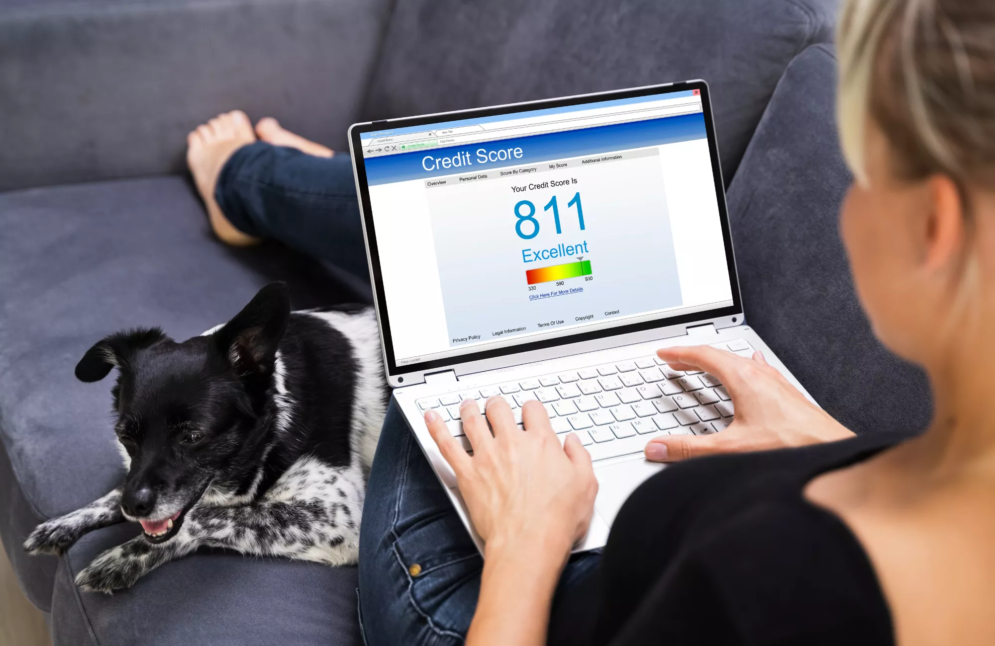 picture of business owner preforming a transunion credit check on her laptop computer with a cute dog