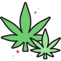 Cannabis leaf symbolizing the legal sale of bongs online.