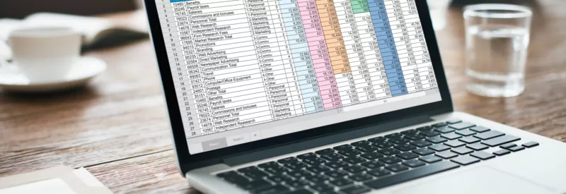 A computer screen with a sheet of data on it as a business owner reviews their var sheet.