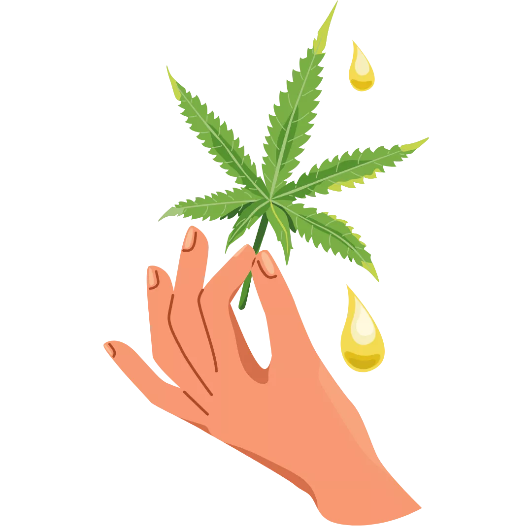 A hand holding cbd plant that has cbd oil falling out of it