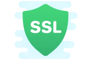 A shield with SSL on it to represent SSL vs TLS.