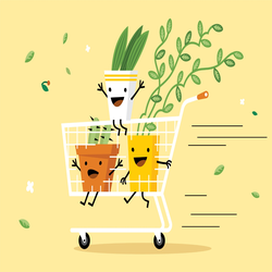 Happy potted plants riding in a shopping cart, symbolizing a seamless checkout experience with Shop Pay.