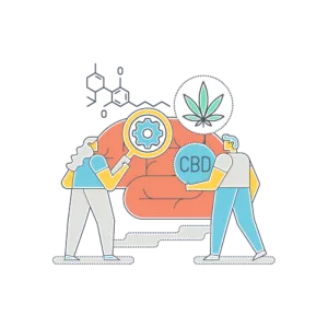 two people studying cbd effects on a brain after getting an illinois cbd license