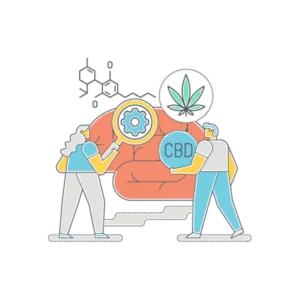 two people studying cbd effects on a brain after getting an illinois cbd license