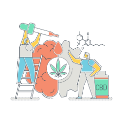 People using CBD dropper on giant brain after getting a Virginia CBD license