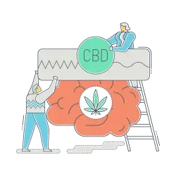 A brain being treated by someone with a CBD license in New Mexico.