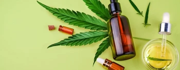 A cannabis leaf with CBD products being used with a CBD License in Alaska.