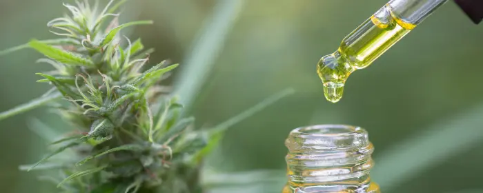A tincture of CBD oil and other THC products that would require a CBD license to sell.