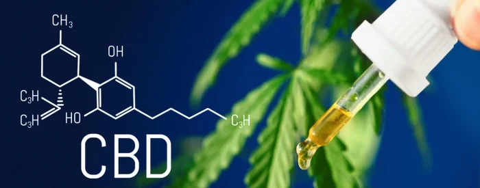 CBD molecular structure image and a tincture of CBD oil that would need a CBD license.