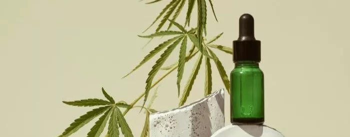 CBD oil bottle produced by having a CBD license to grow in North Carolina.
