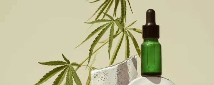 CBD oil bottle produced by having a CBD license to grow in North Carolina.