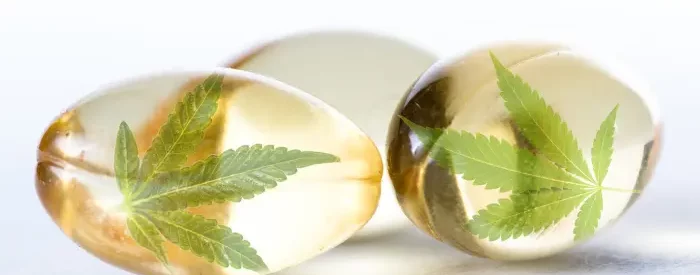 CBD leaves floating in bubbles that are being sold with a CBD license.