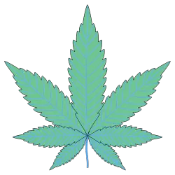A graphic of a marijuana leaf for starting a CBD business in Kansas.