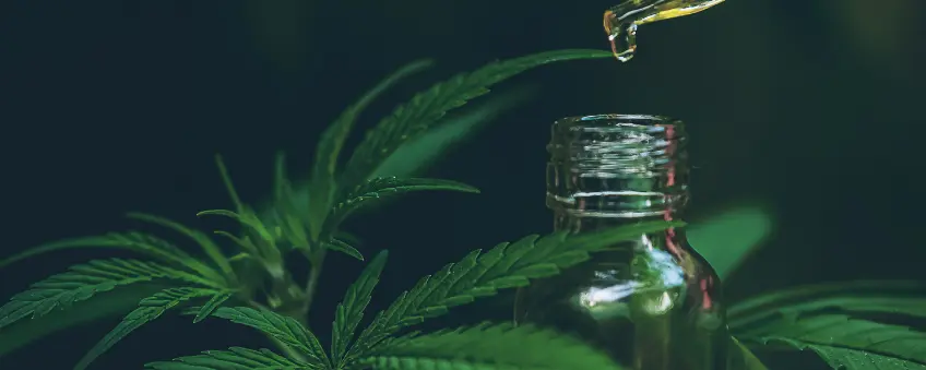 CBD oil sold with a CBD license in Utah.