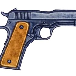 A pistol sold through an FFL in Washington.