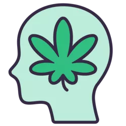 Head containing cannabis leaf that represents CBD merchant sales in the state of Nebraska. 