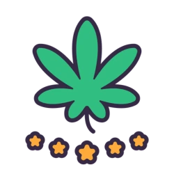 Cannabis leaf symbolizing CBD cultivation in Oregon. 