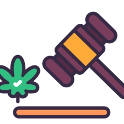 Gavel and cannabis leaf symbolizing laws regulating the sale of CBD in Tennessee.