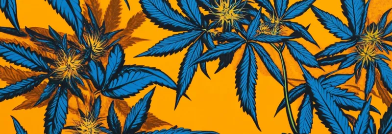cannabis leaves for North Carolina business